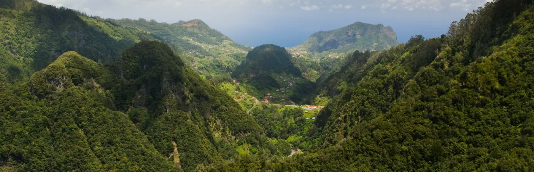 Procesul Dunlop de Fabricare a Spumei din Latex: Tehnologie, Proprietati si Aplicatii