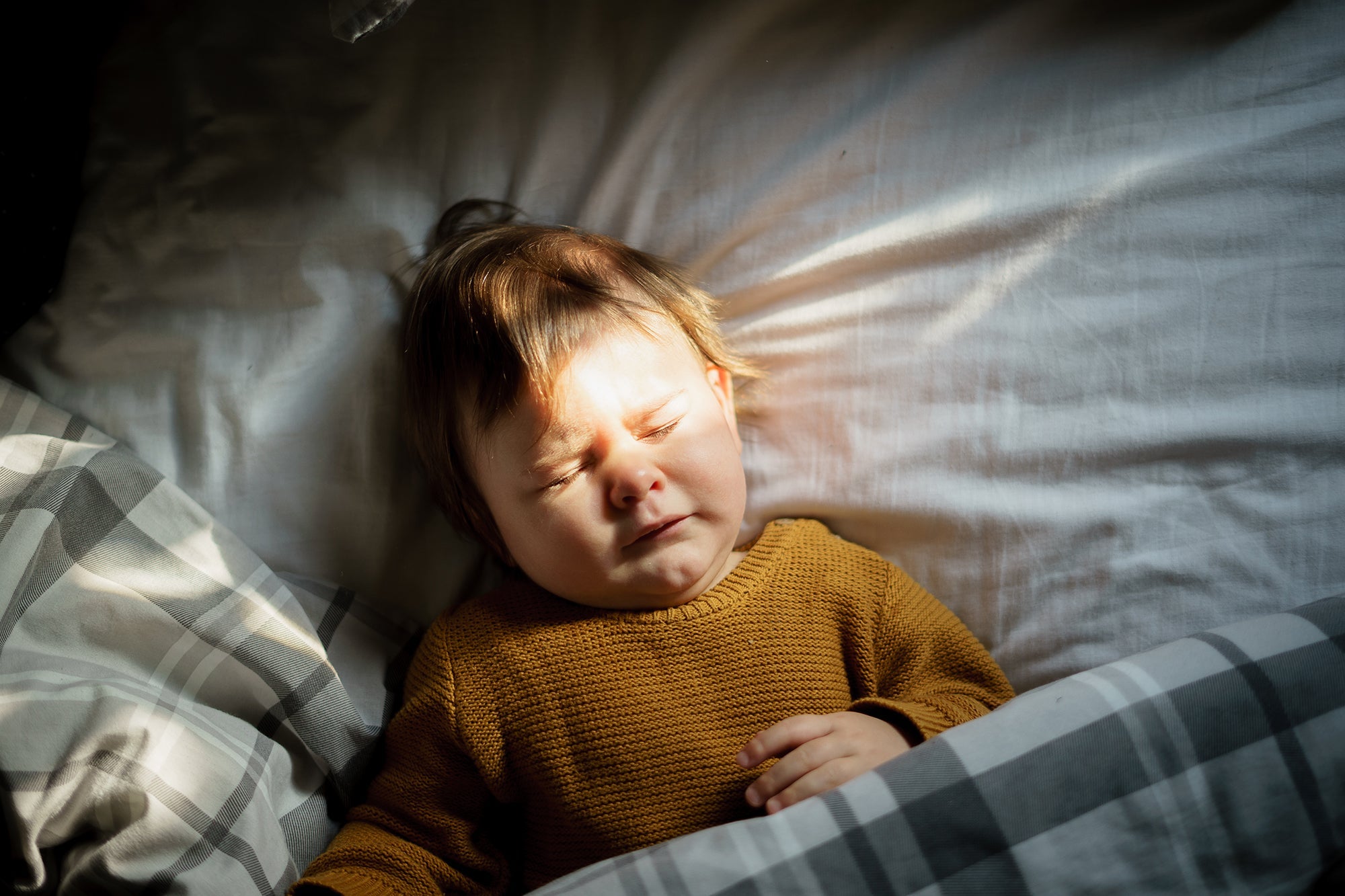 Ritmul Circadian
