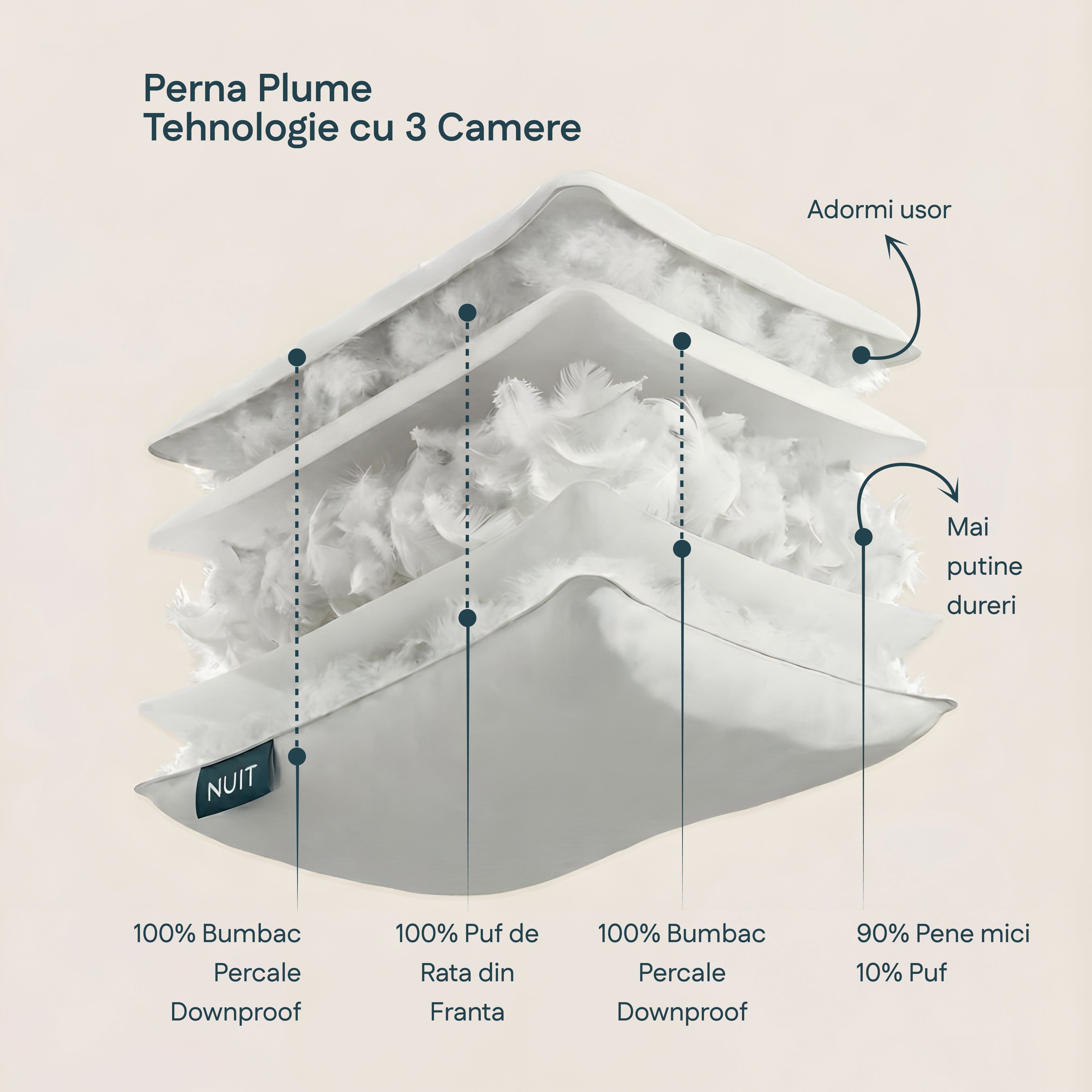 Perna Plume Puf Reigienizată