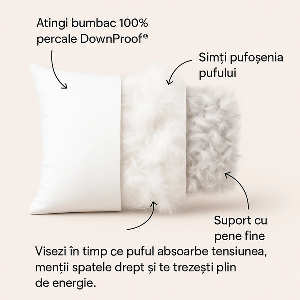 Pernă Plume Puf