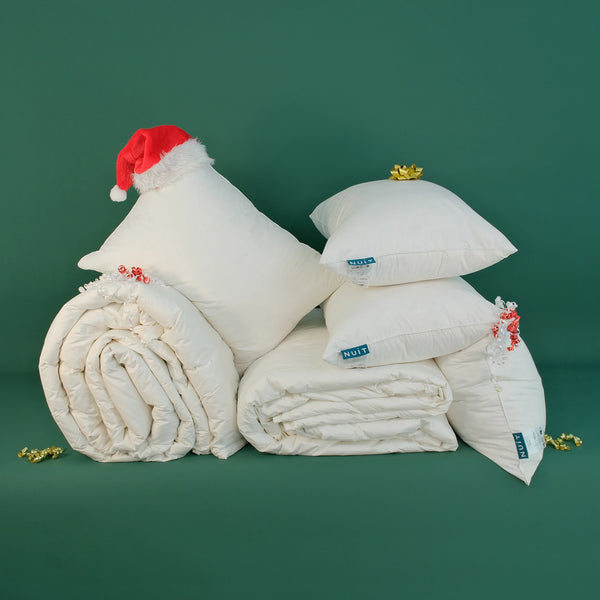 2 Pilote Plume 200x220 + 4 Perne Plume Gratis