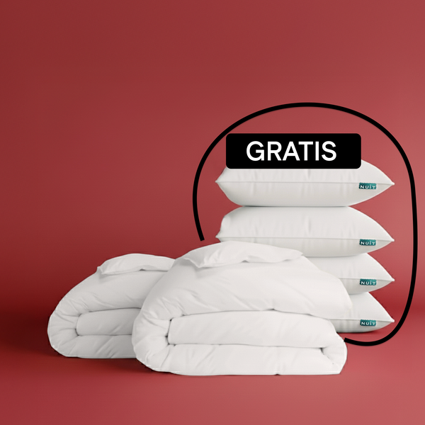 2 Pilote Plume 220x240 + 4 Perne Plume Gratis