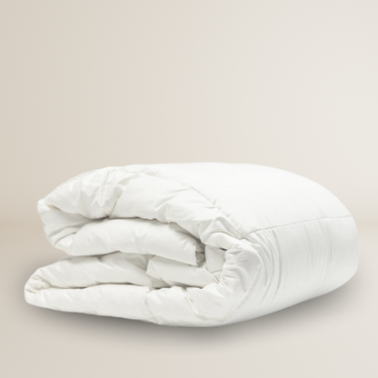 Double Silk Comfort Bundle: 2 Perne + Pilotă 2 Persoane =  2 Fețe de Pernă din Mătase CADOU