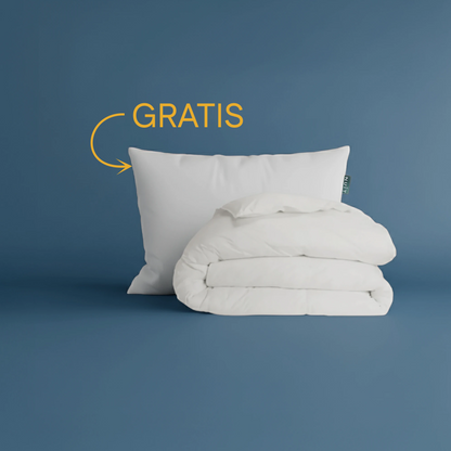 1 Pilota 200 x 140 + 1 Perna Plume