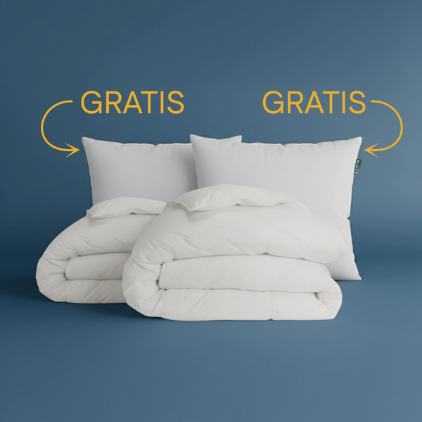 2 Pilote 200 x 220 + 2 Perne Frea