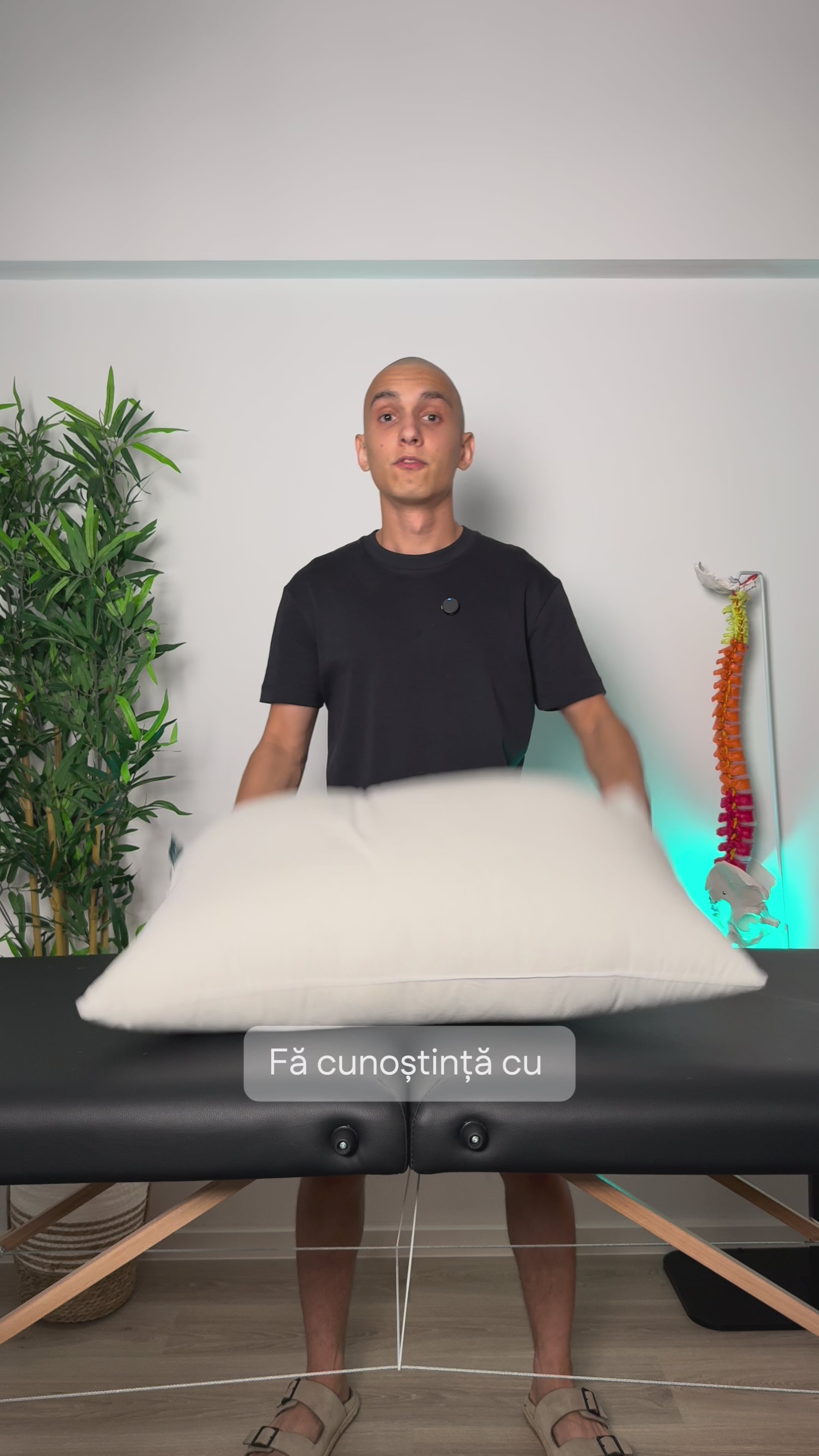 Pernă Plume Puf